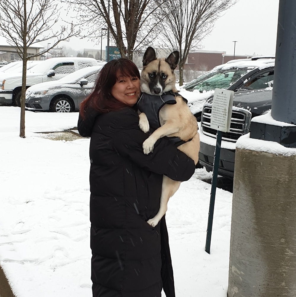 Meet your Posher, Nina chong - Picture 3 of 5